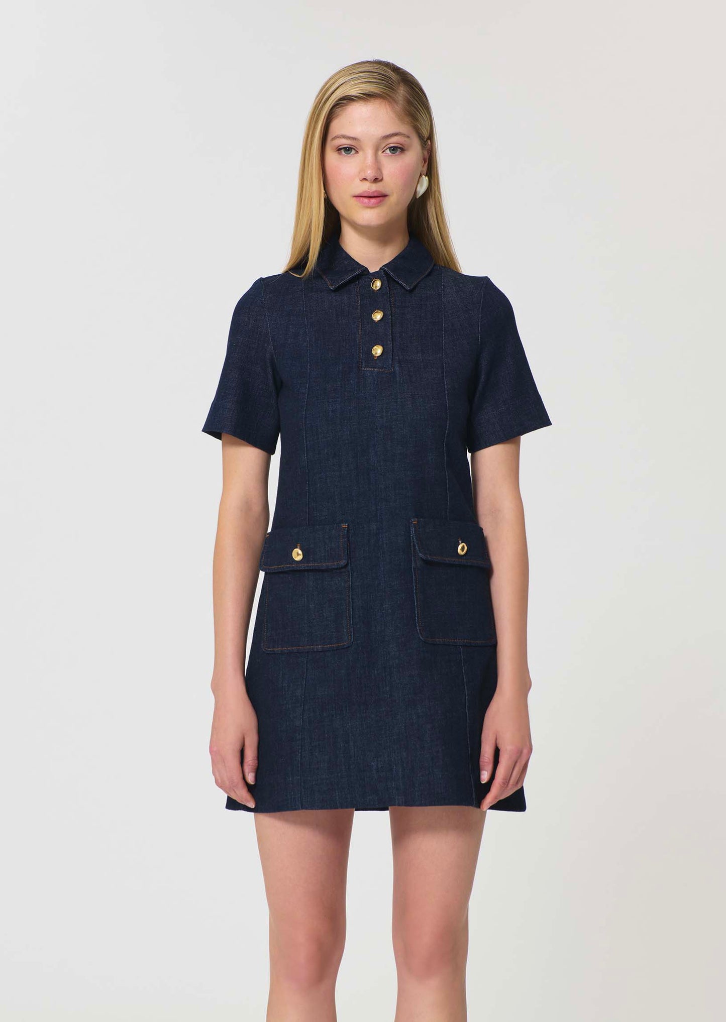 Ronnia Denim Dress