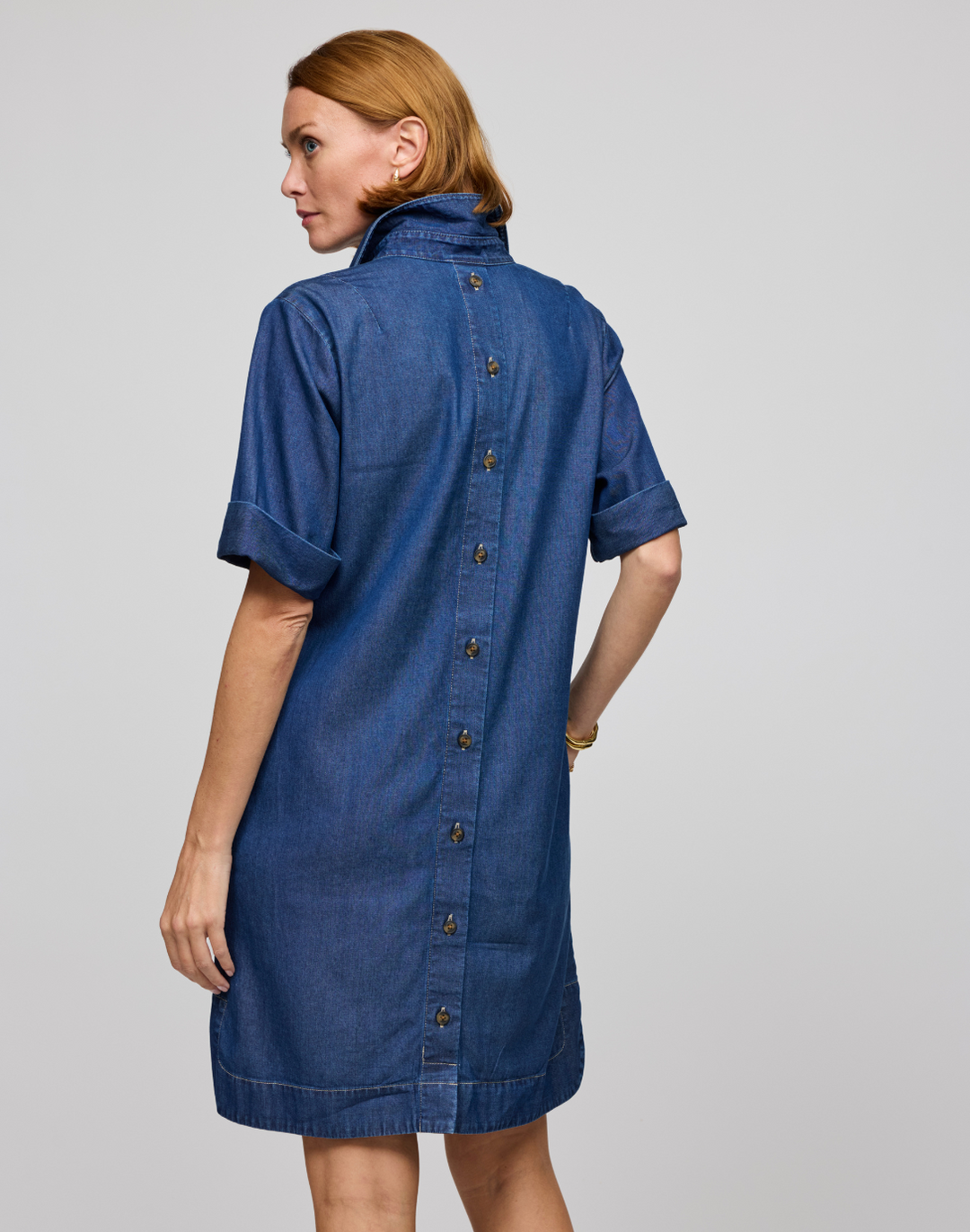 Aileen Denim Dress